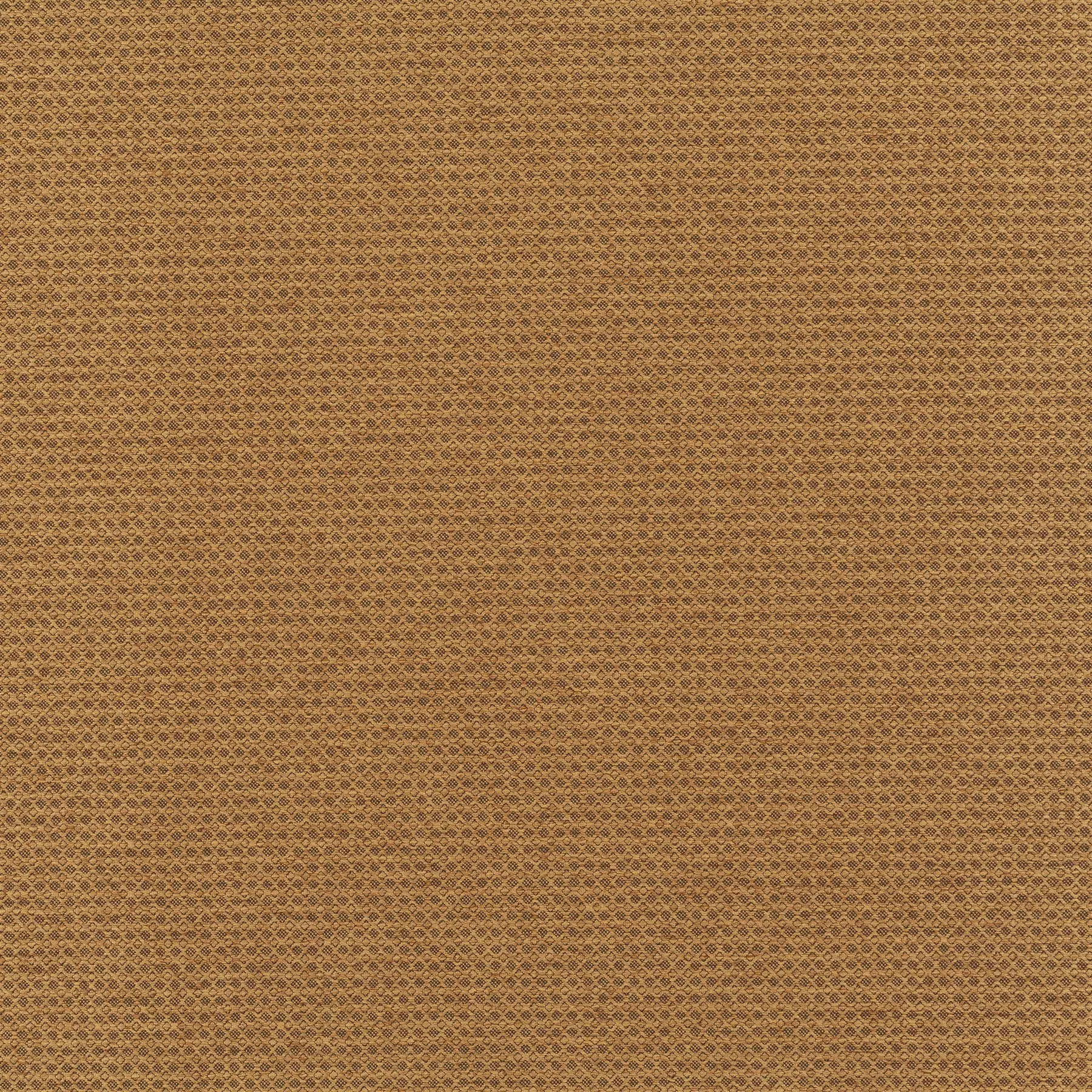 New Dawn - JA6187/062