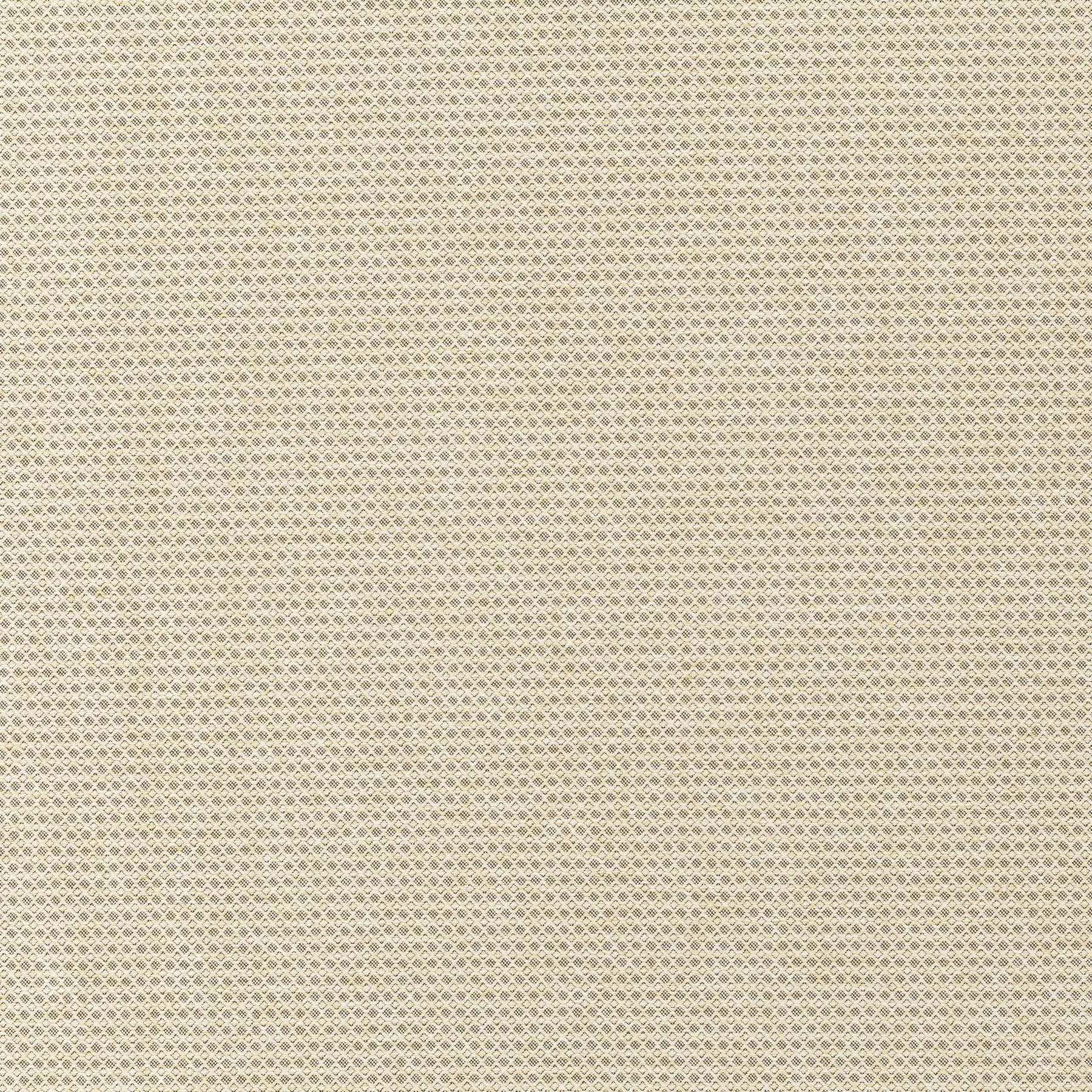 New Dawn - JA6187/072