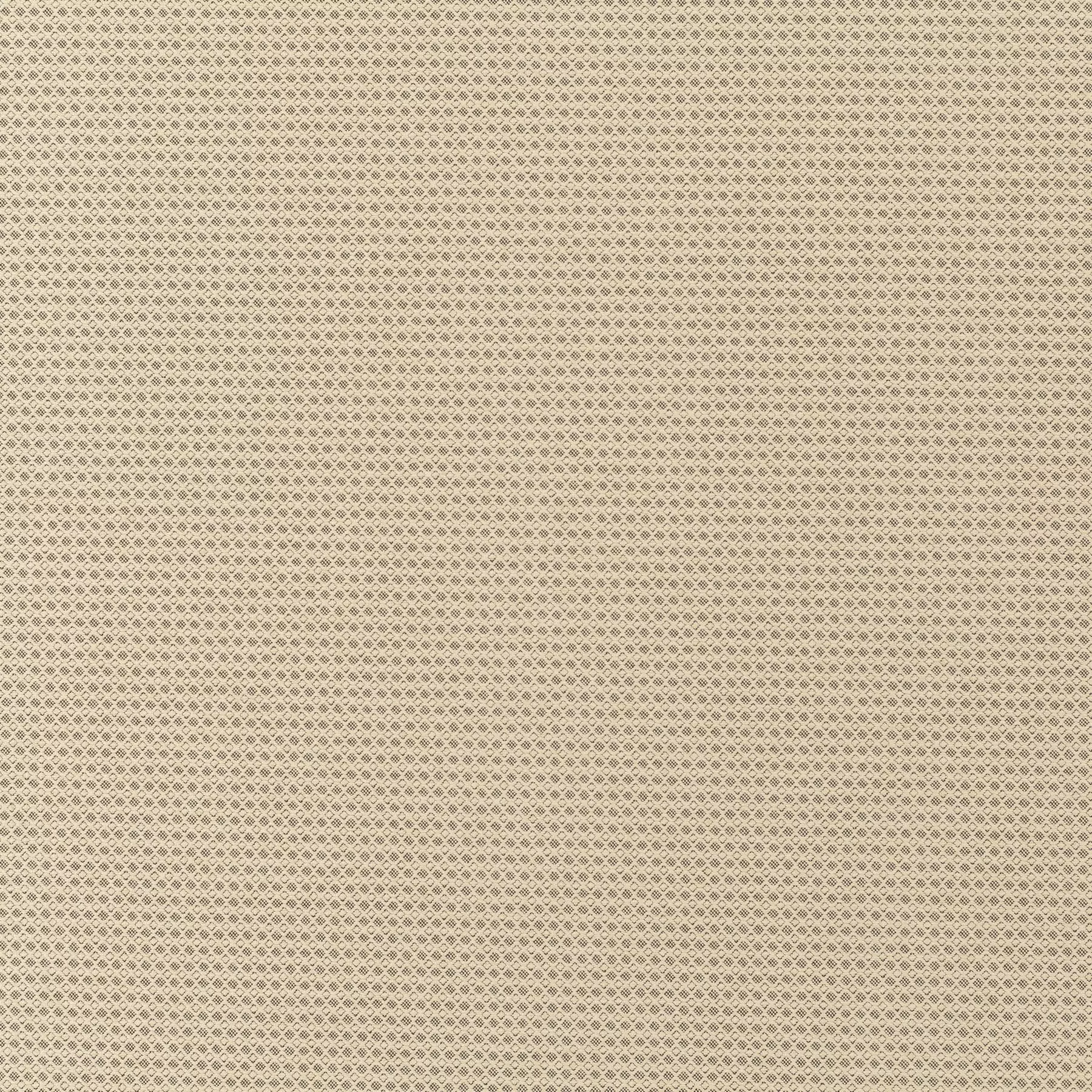 New Dawn - JA6187/073