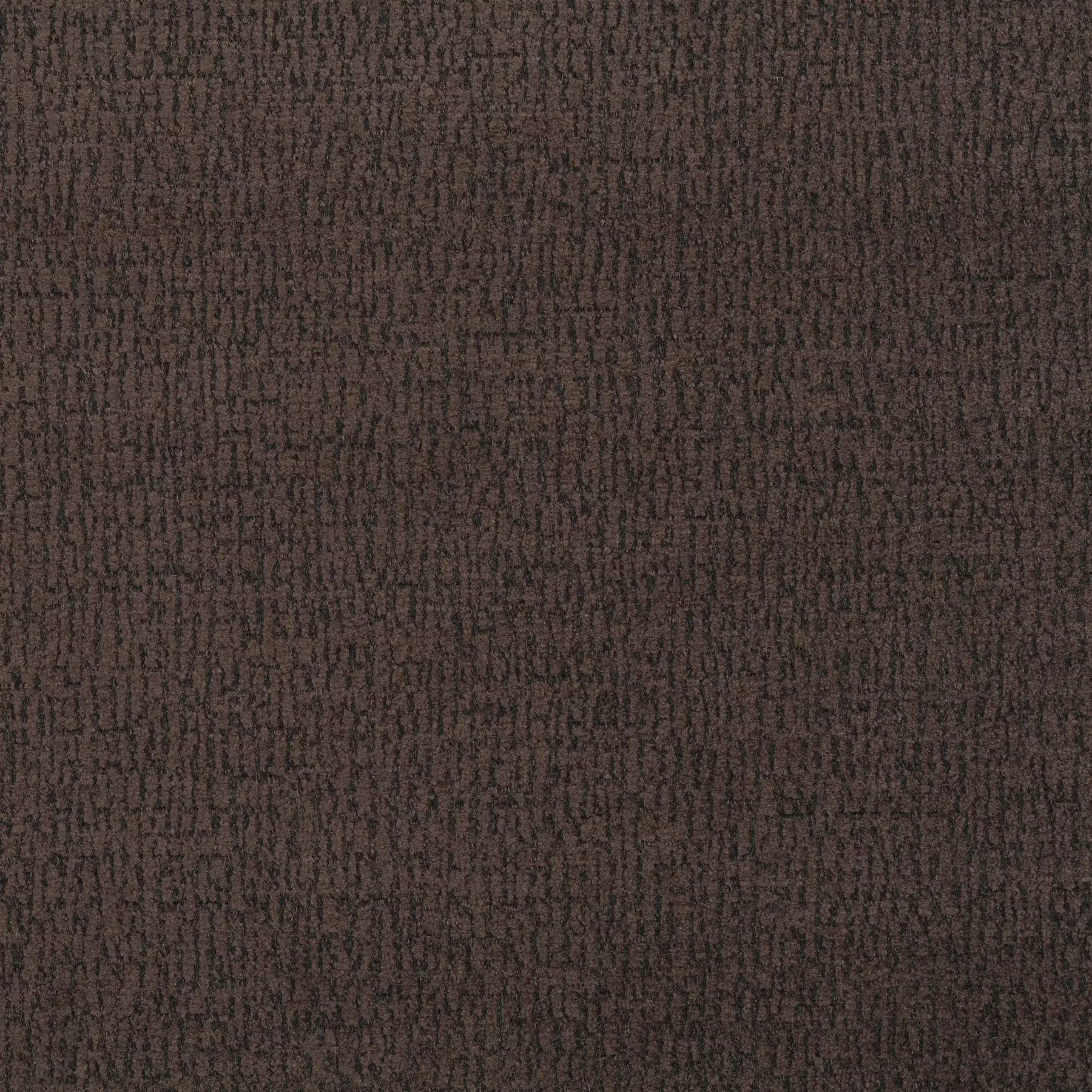 Nico - JA1076/022
