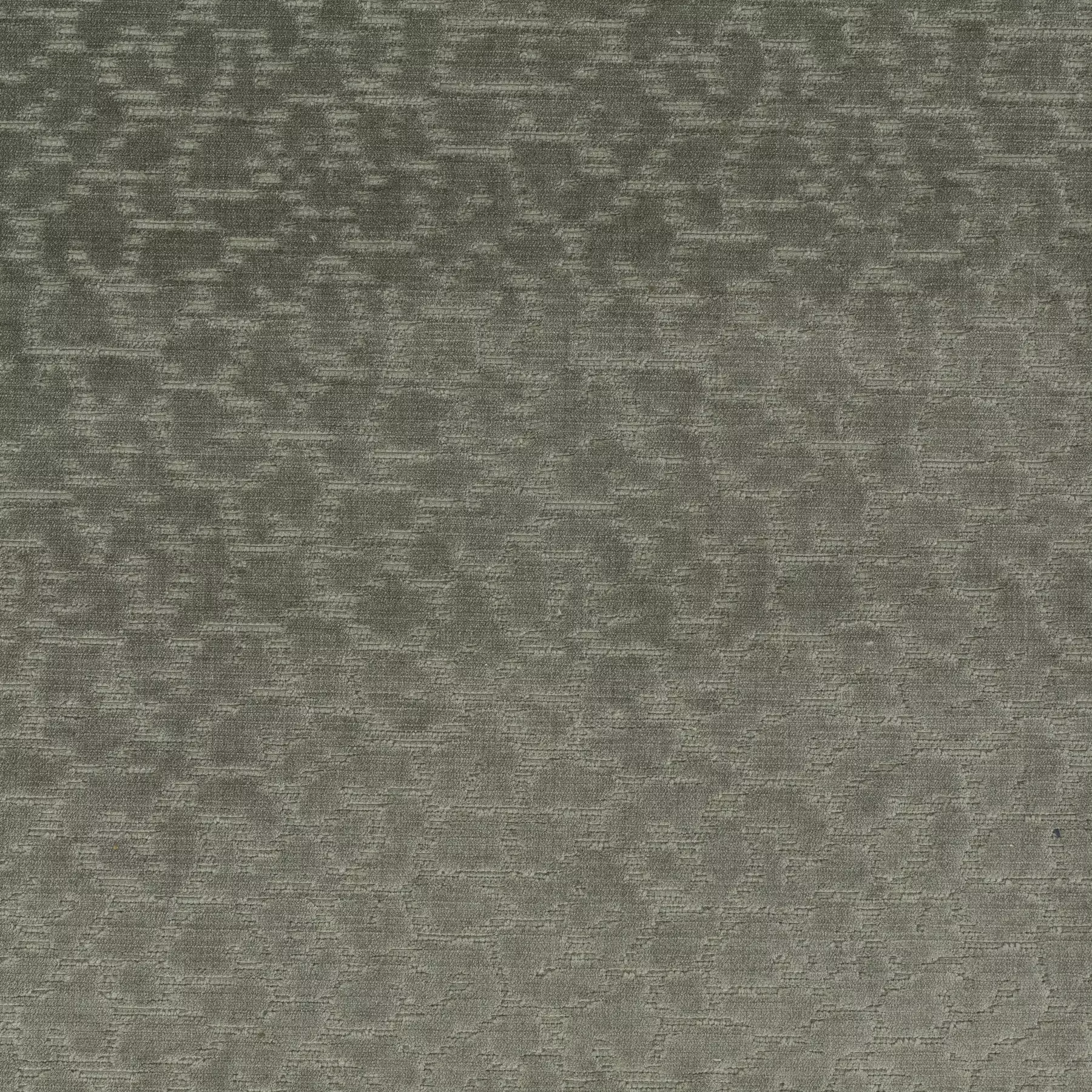 Leonessa - JA3027/030