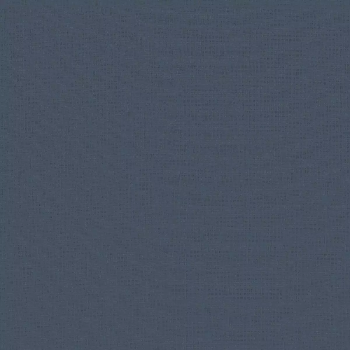 Daydream Fr Re - 11034.557