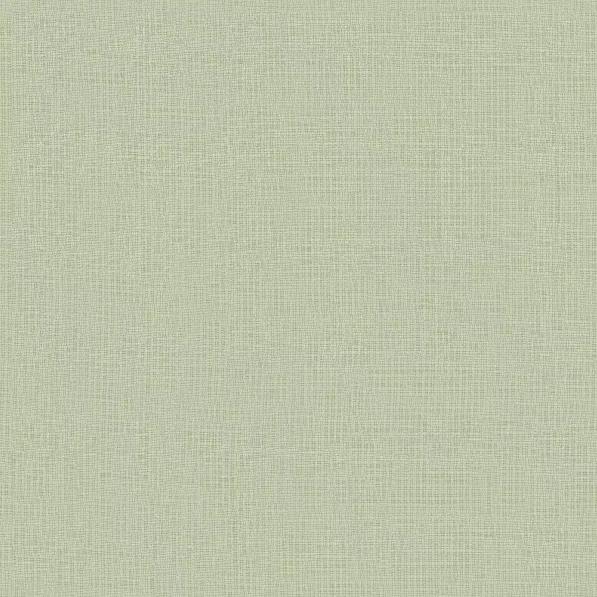 Daydream Fr Re - 11034.763