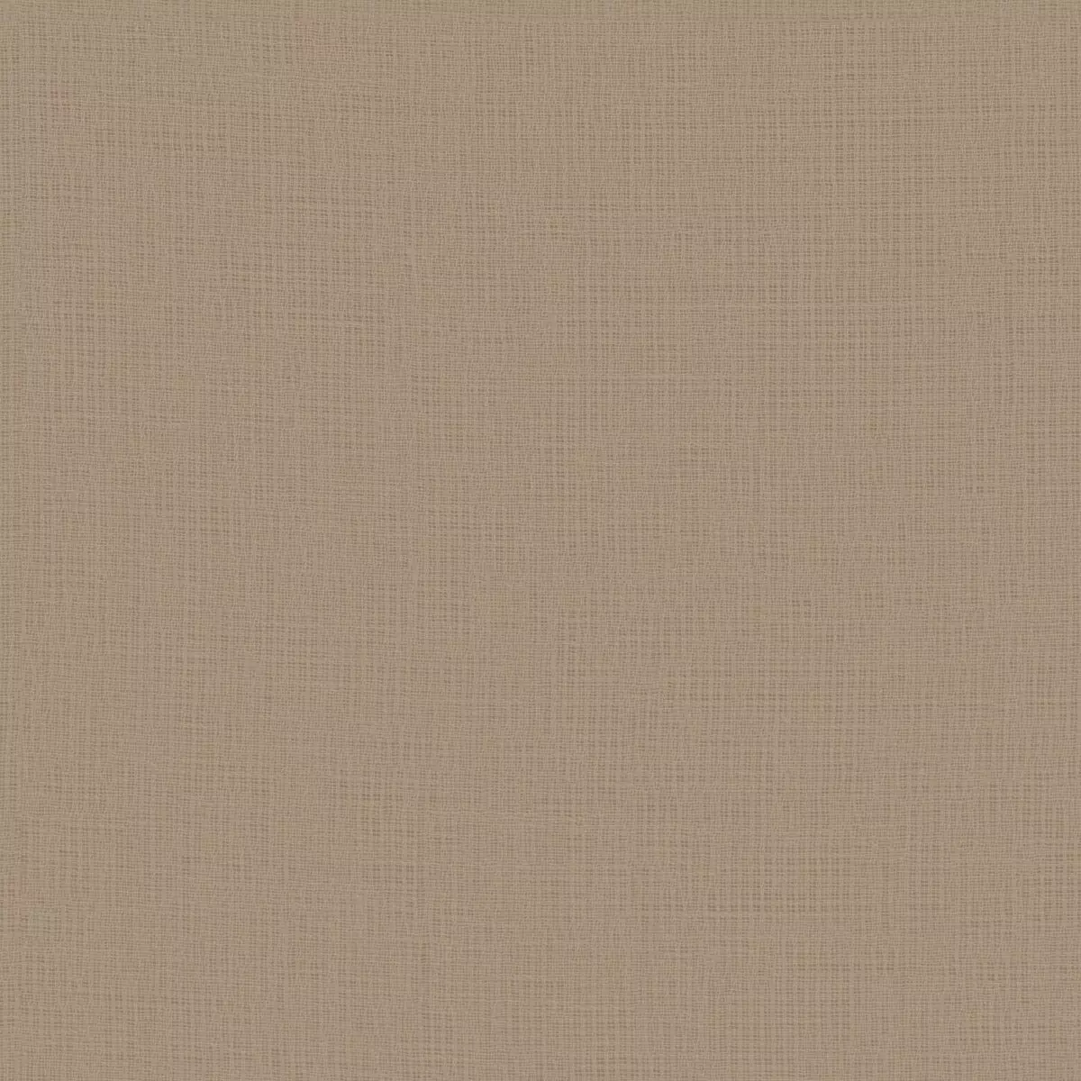 Daydream Fr Re - 11034.825