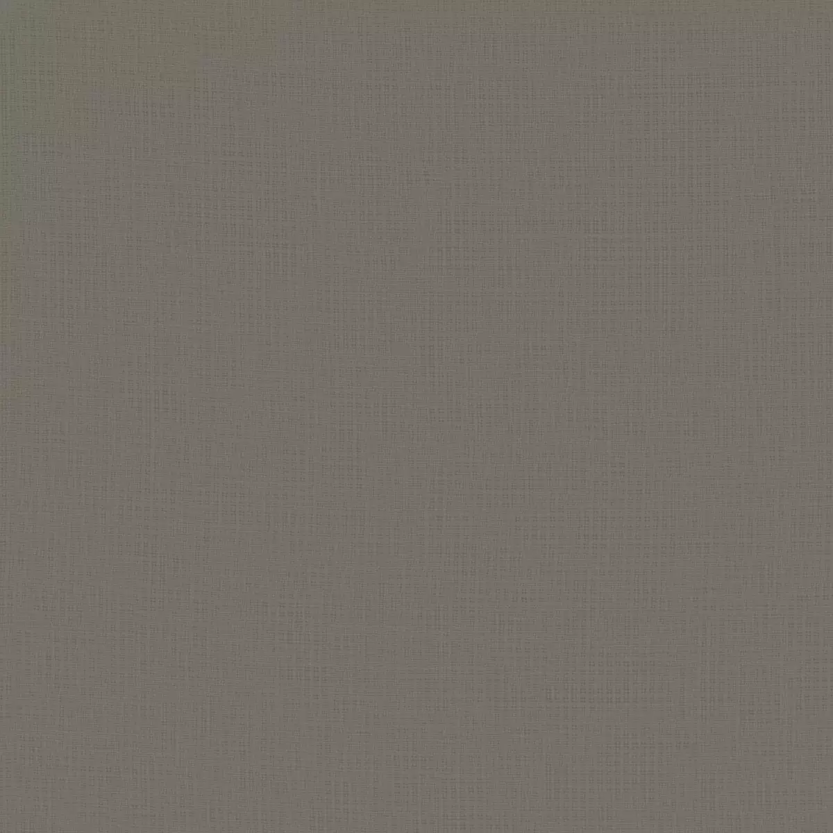 Daydream Fr Re - 11034.986