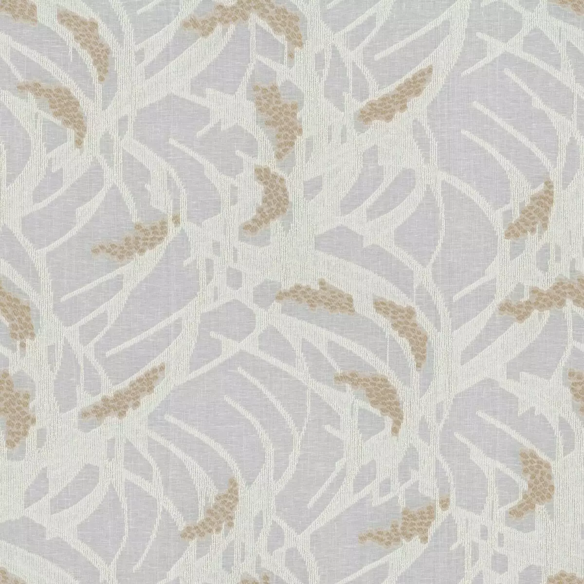 Chaconia - 11048.891