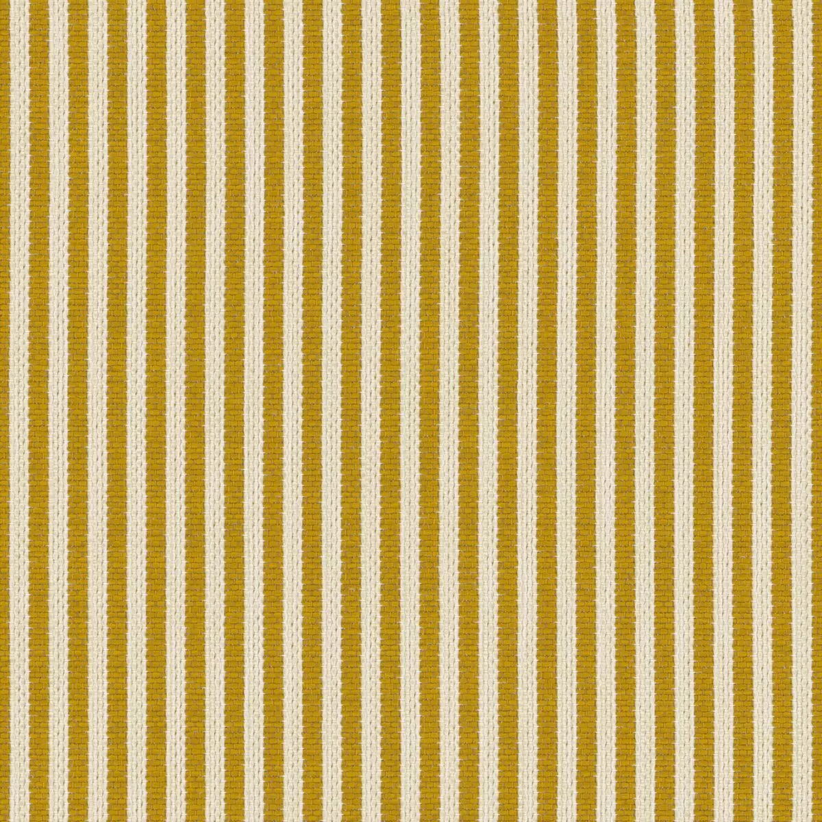 Petit Paradis - 19647.114