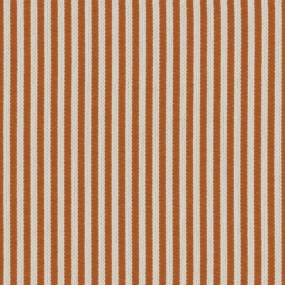 Petit Paradis - 19647.224