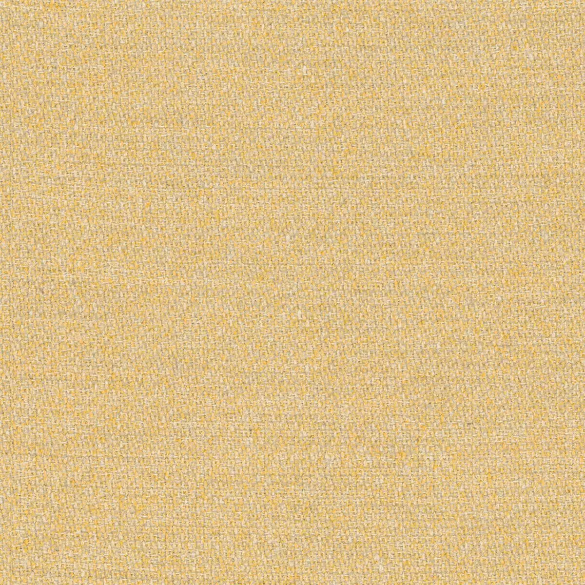 Menthe A L'eau - 19644.112