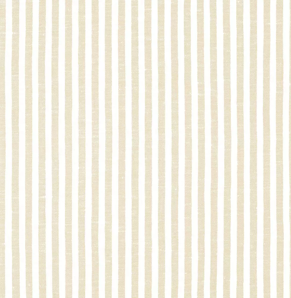 Summer Stripe - 1103.313