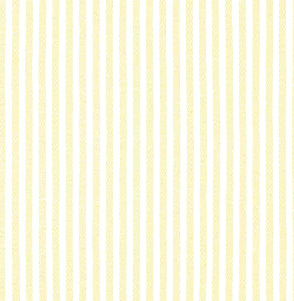 Summer Stripe - 1103.412