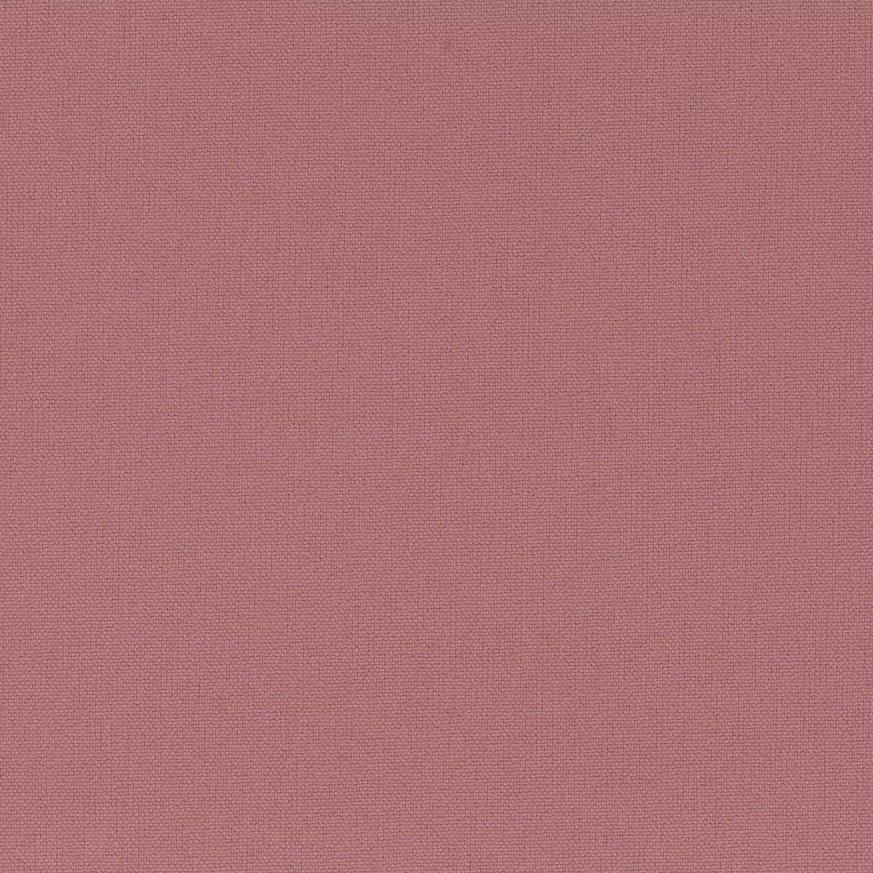 Rockin Star - Ch3218/010