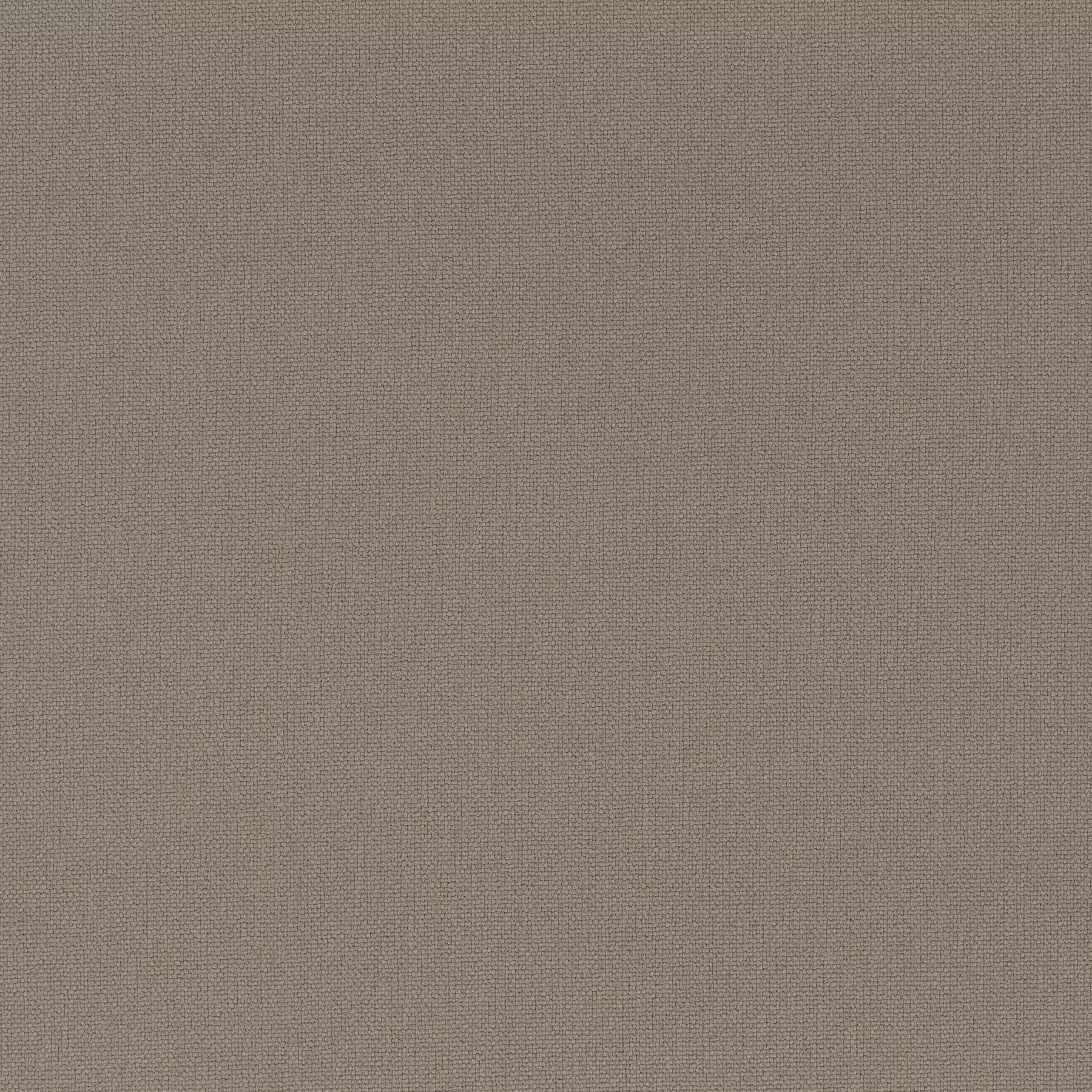 Rockin Star - Ch3218/020