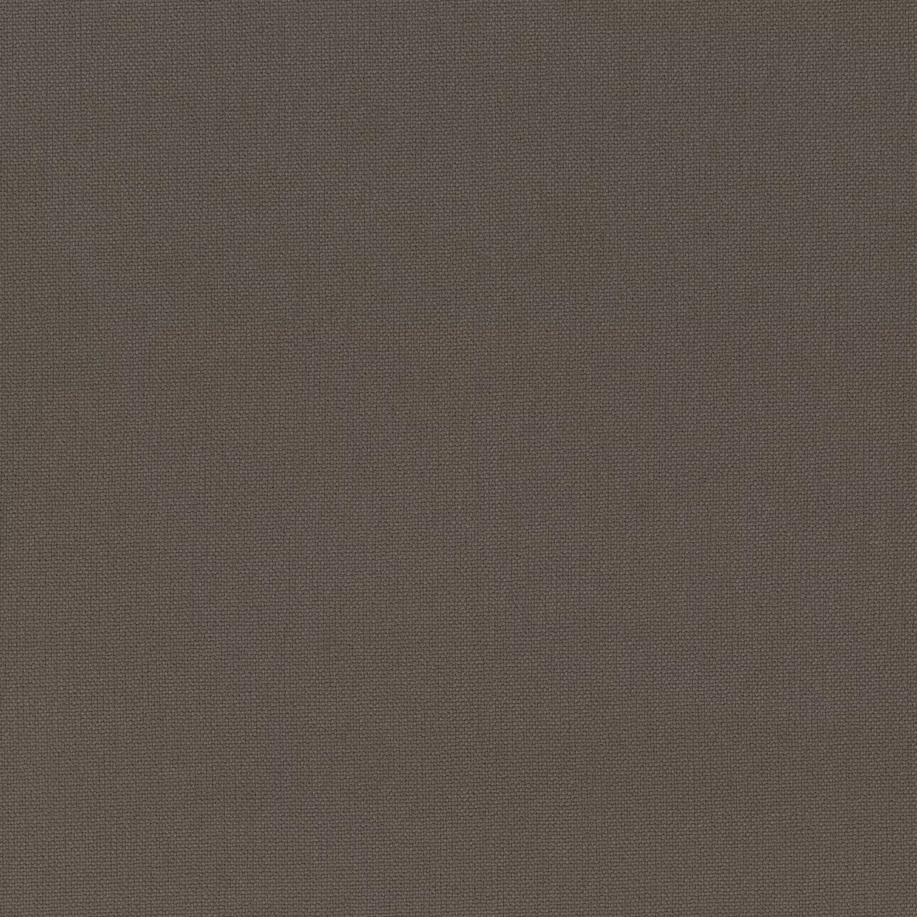 Rockin Star - Ch3218/021