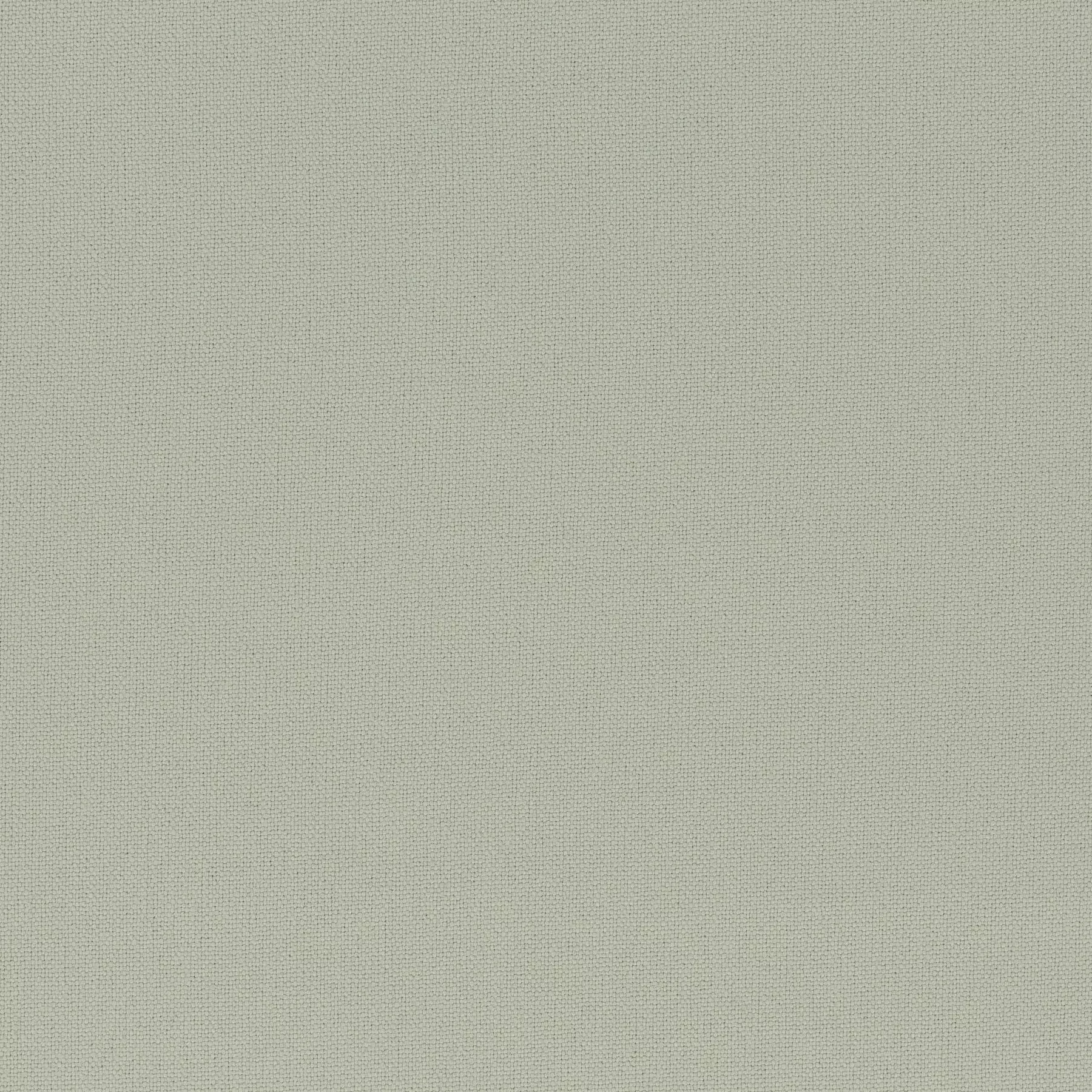 Rockin Star - Ch3218/030