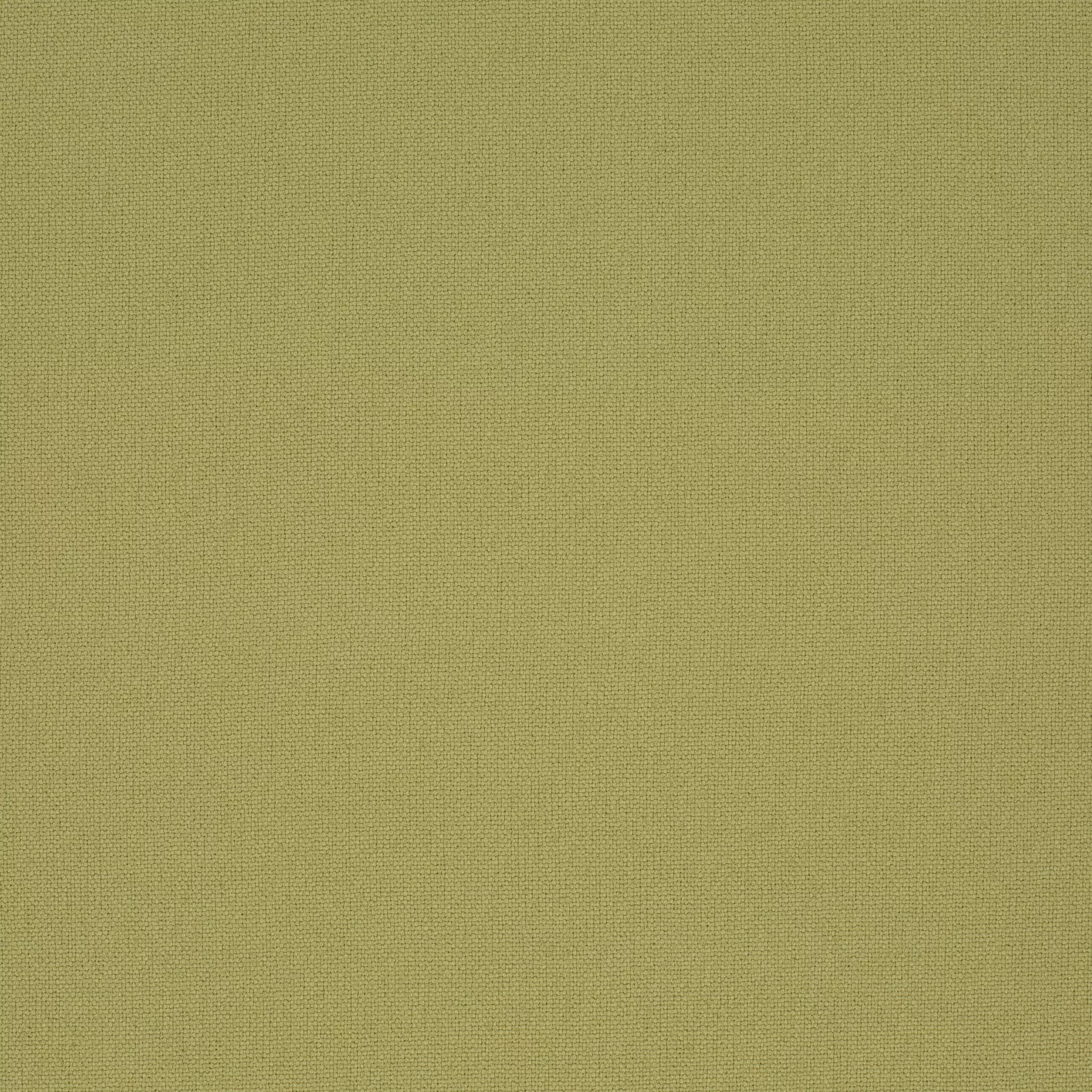 Rockin Star - Ch3218/031