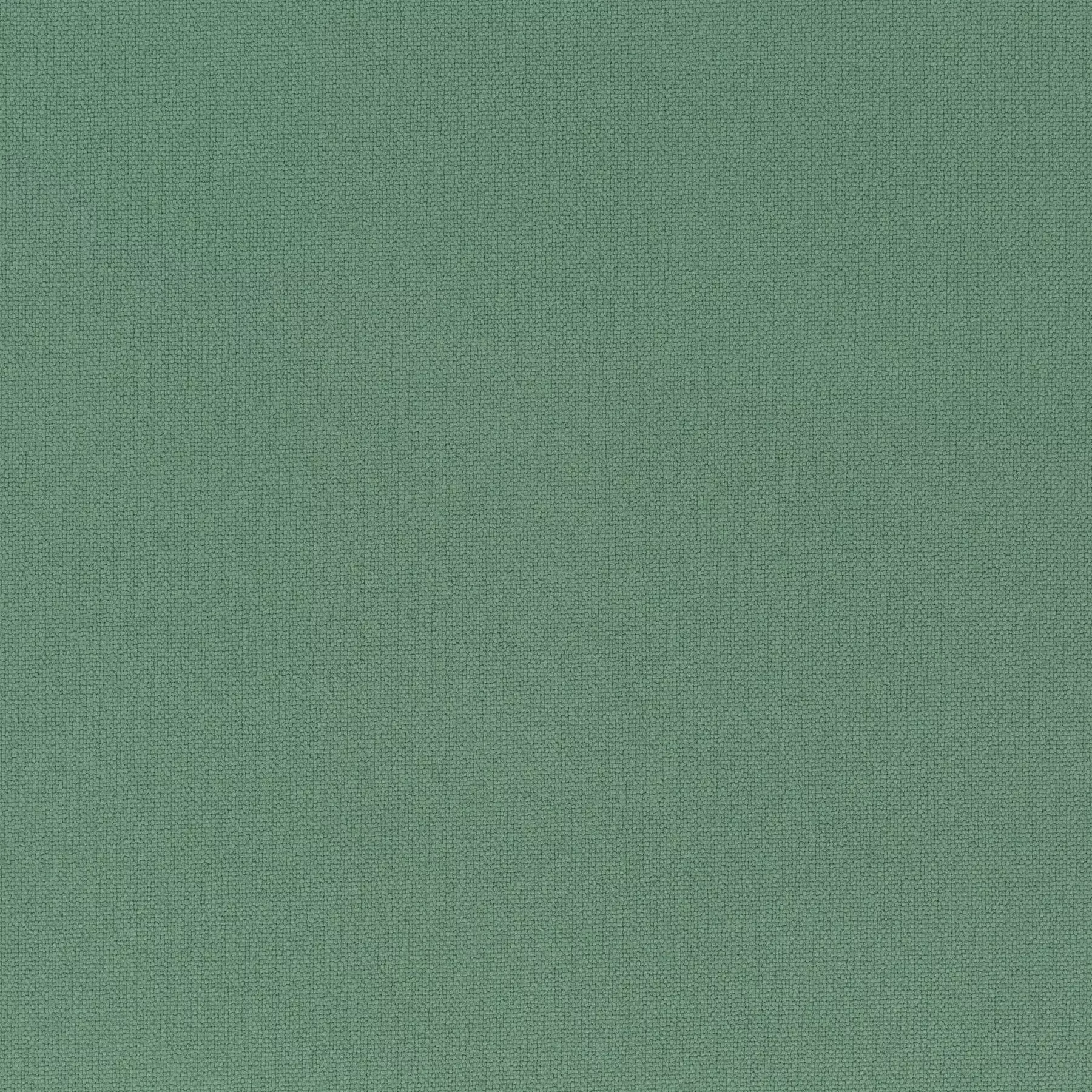 Rockin Star - Ch3218/032