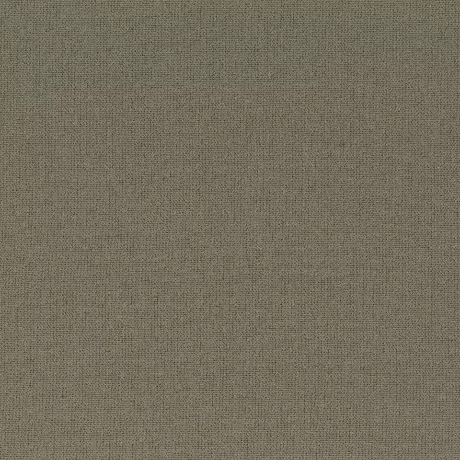 Rockin Star - Ch3218/036