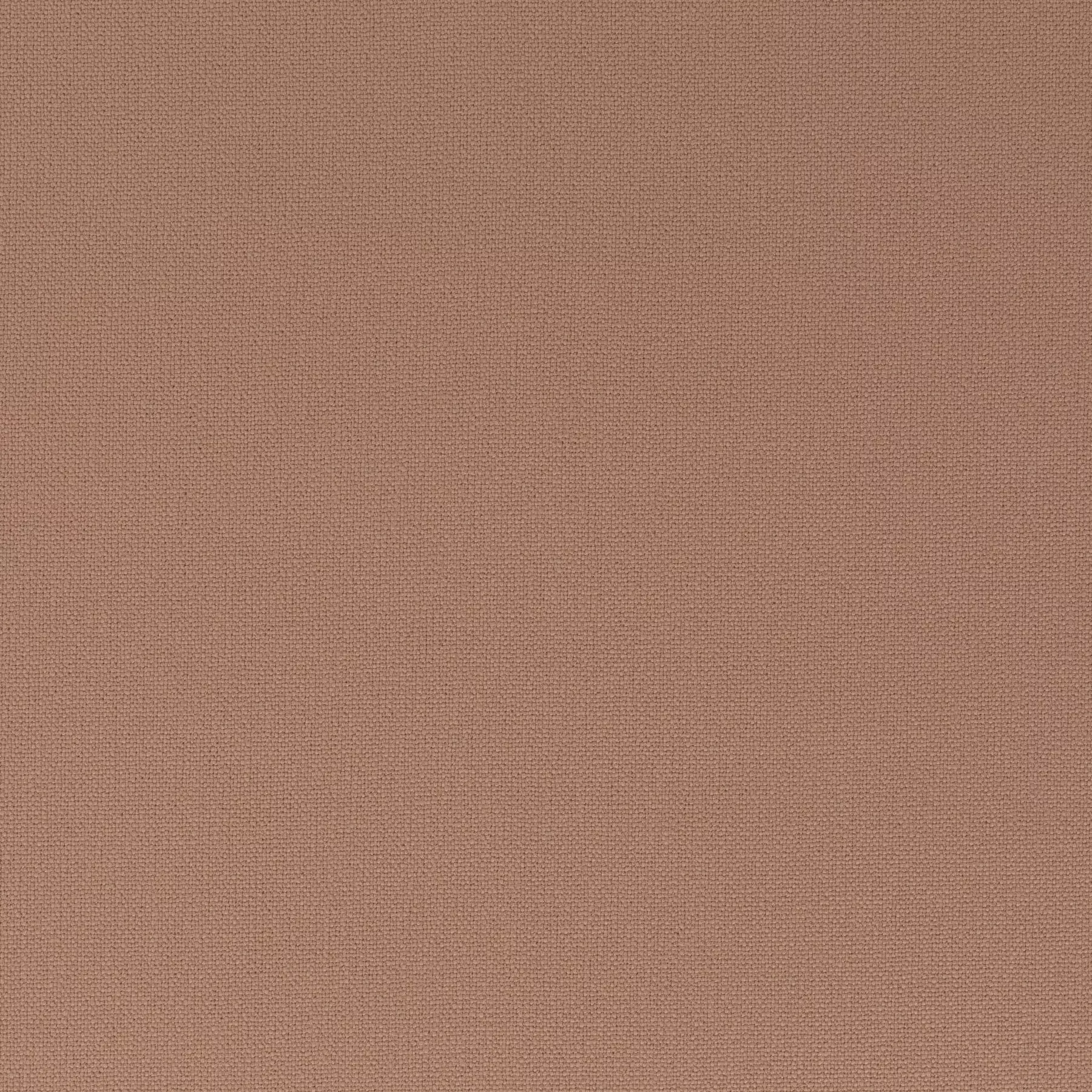 Rockin Star - Ch3218/061