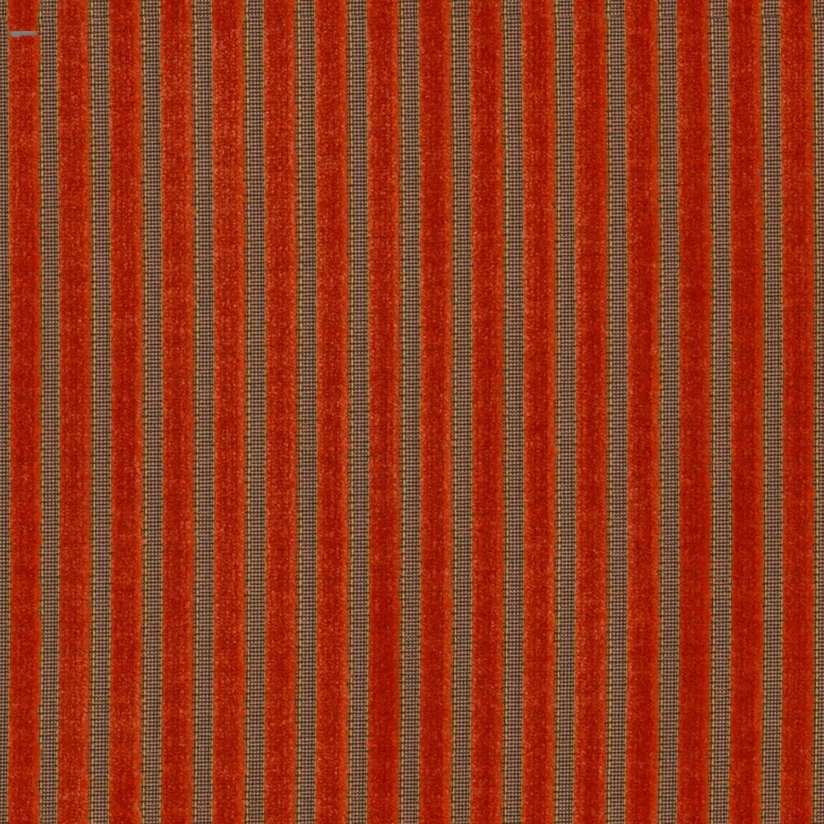 Infinity Raya - 11042.324