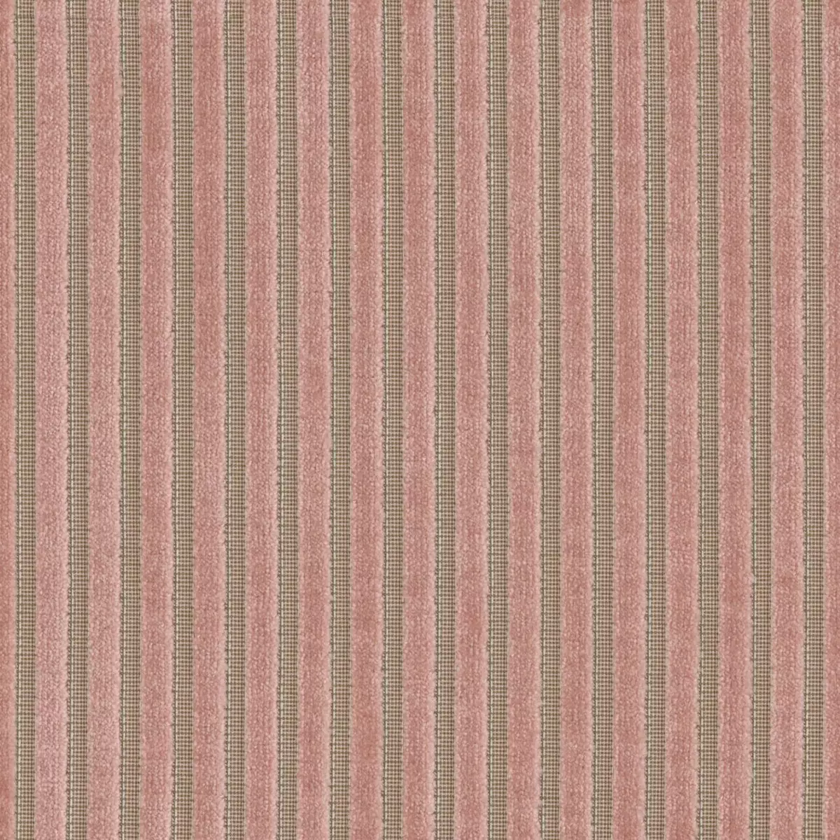 Infinity Raya - 11042.483