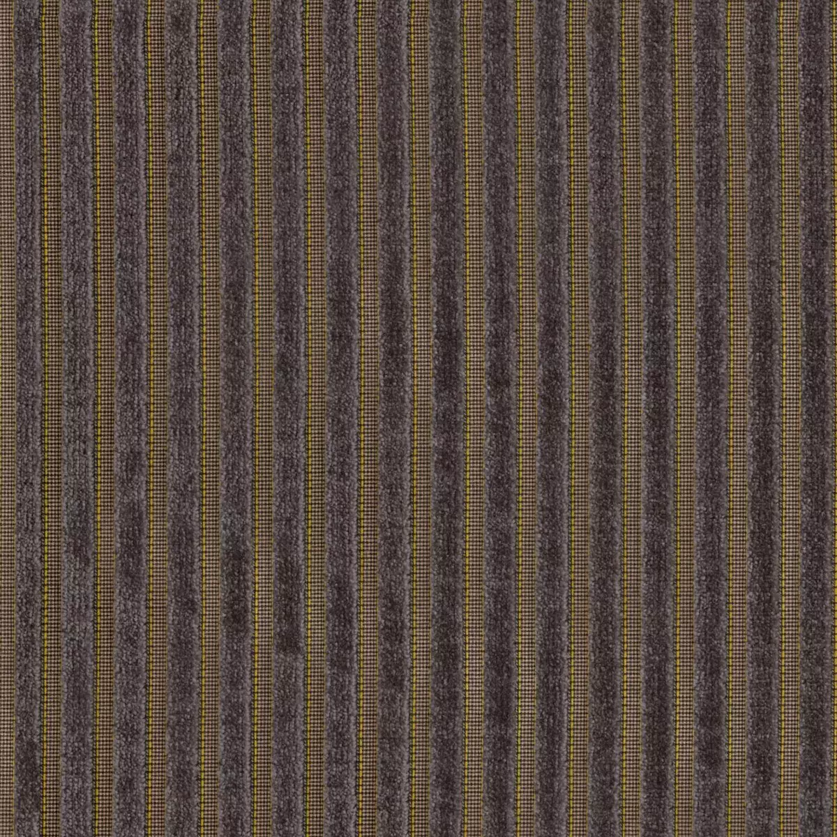 Infinity Raya - 11042.496