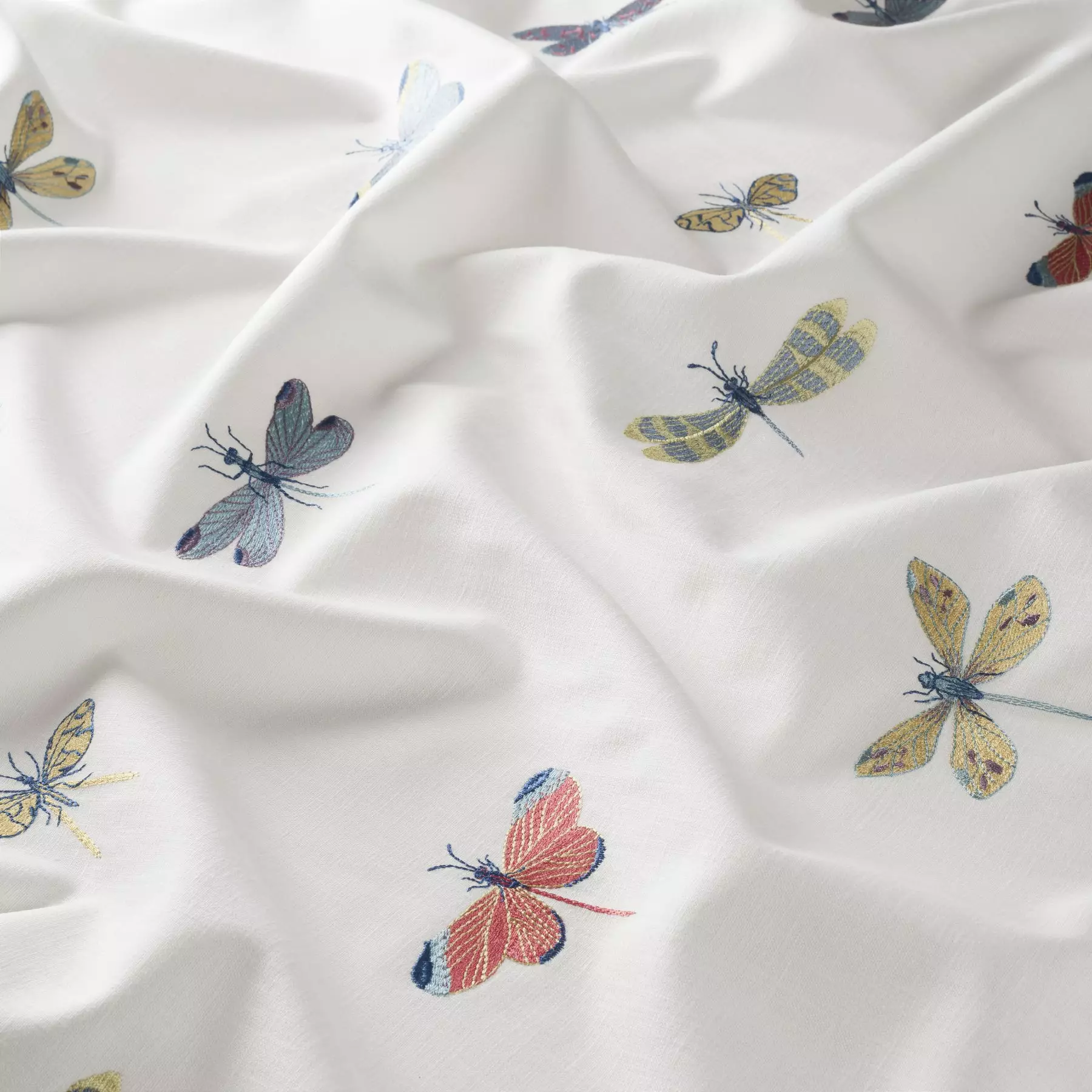 Papillon - JA7167/010