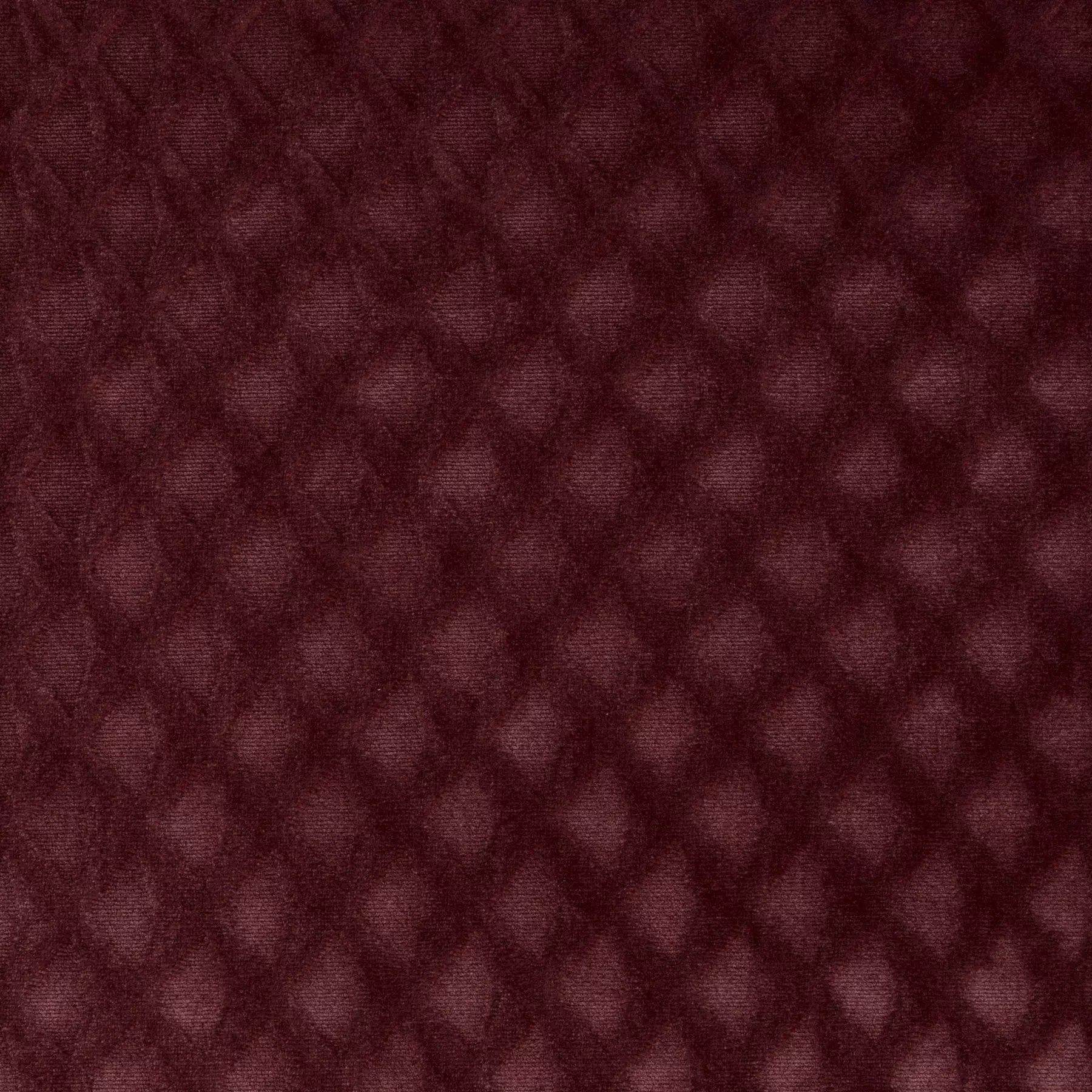 Puccini - JA3029/011