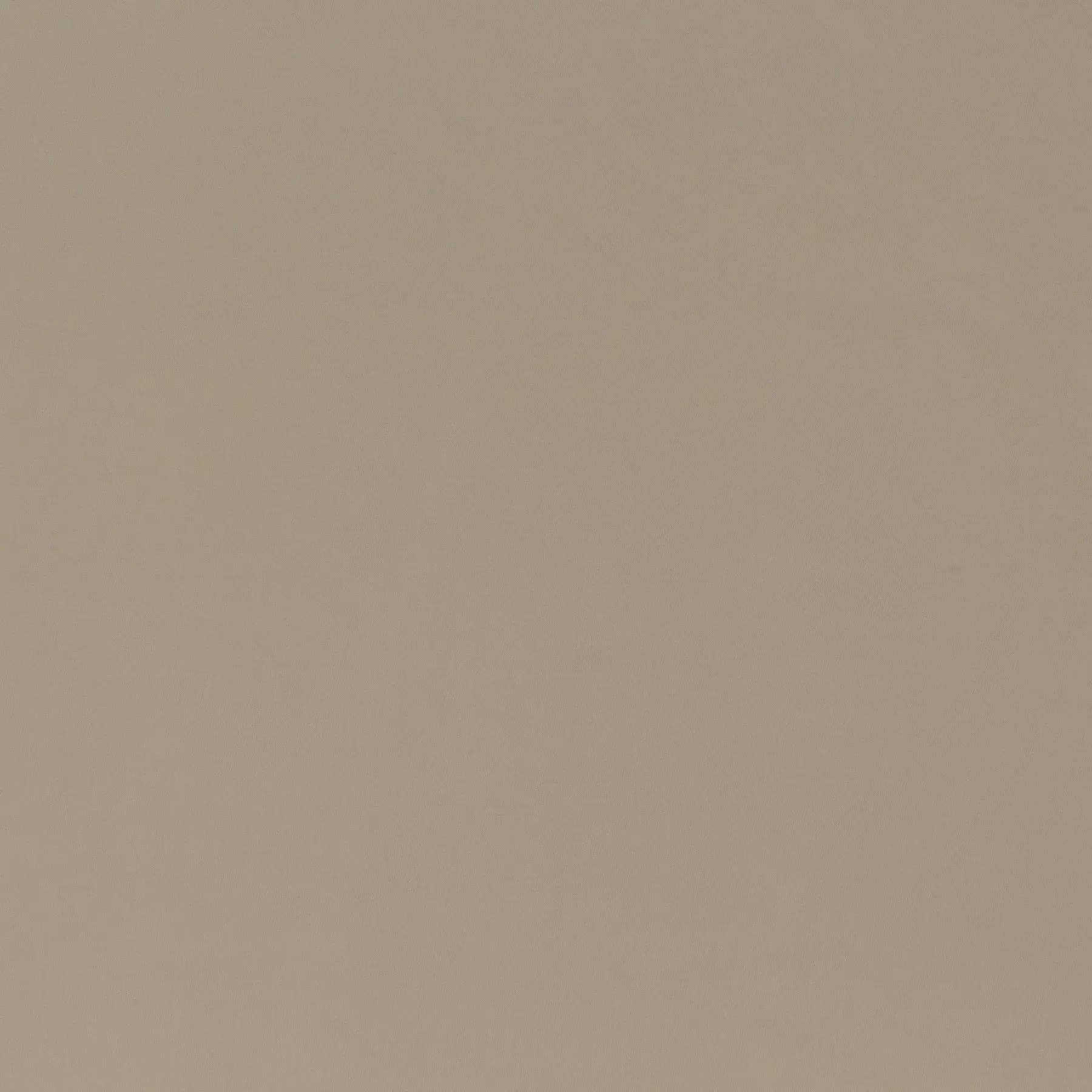 Larice Edition - JA6204/220
