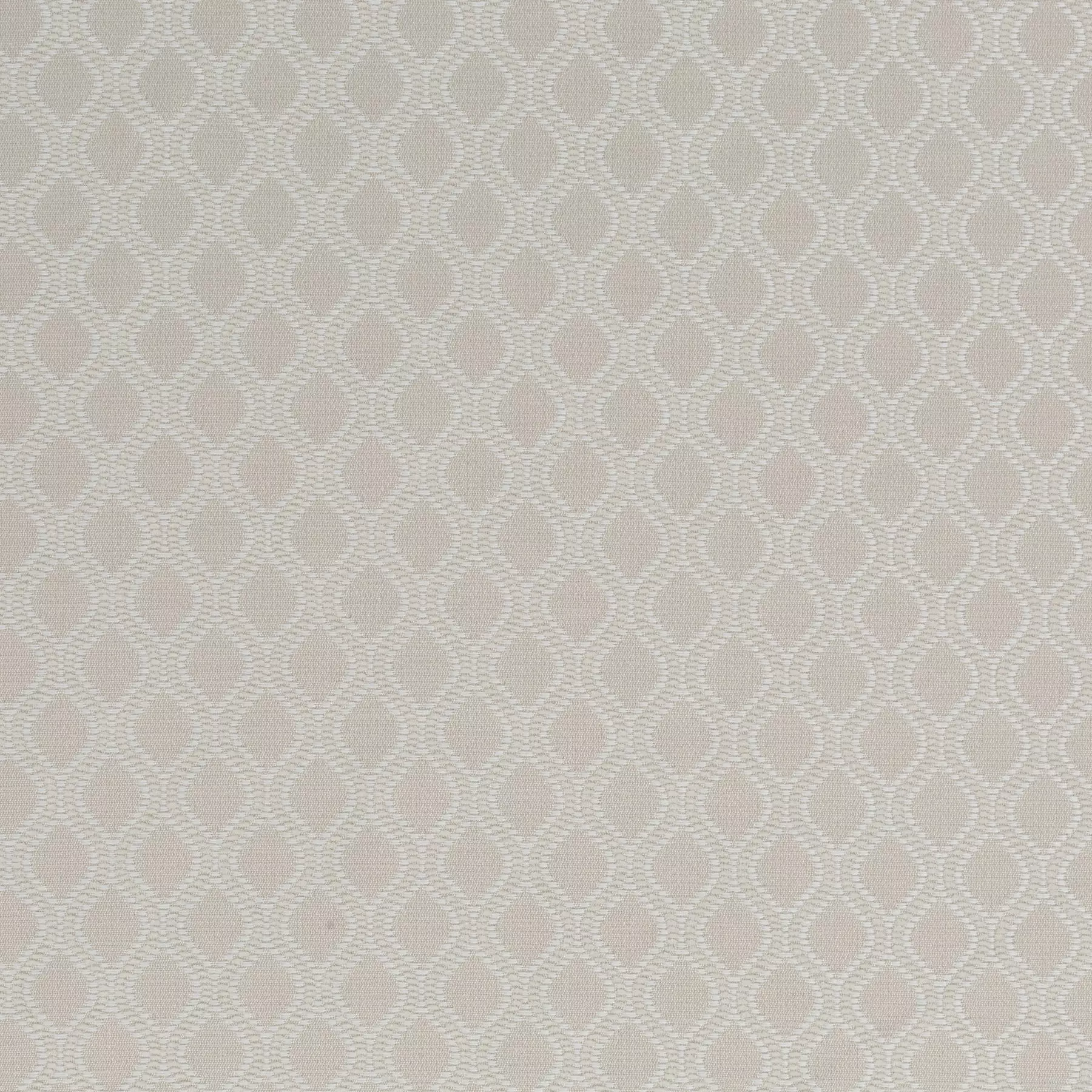 Auckland - JA2129-070